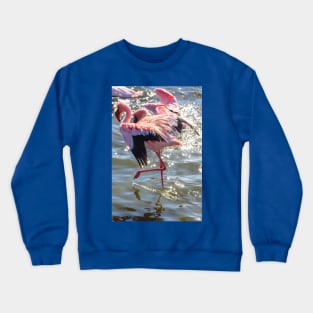 Namibia. Walvis Bay. Flamingos. Crewneck Sweatshirt